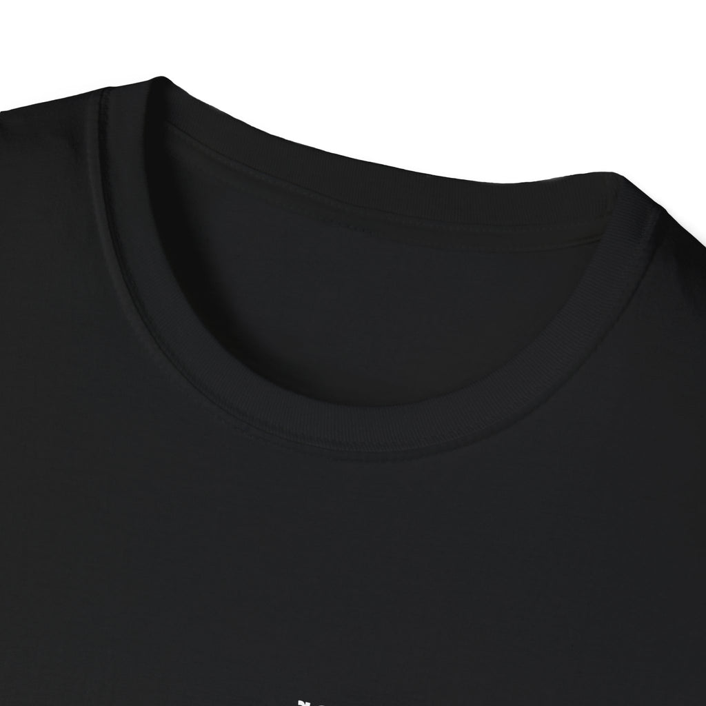 Look in the mirror and remember: you’ve got everything it takes Adult Unisex T-shirt
